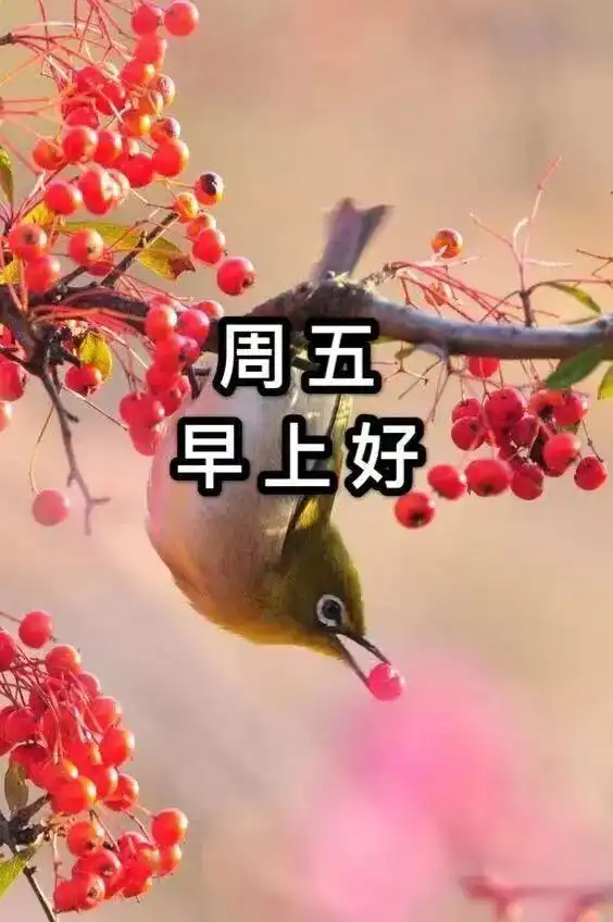 2020年5月10日早上好动态图片带字周五早安问候语简短
