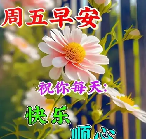 5月17日周五快乐,星期五早安漂亮祝福图片,万事顺心
