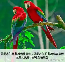 这四种人过得最累走心
