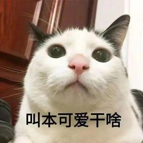 面相丨杀夫不用刀,八种克夫面相大解析下
