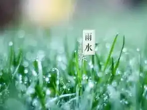 在场2017夏李娟节气里的春天
