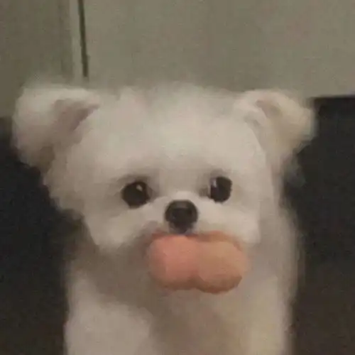 头像光芒万丈,温暖有光
