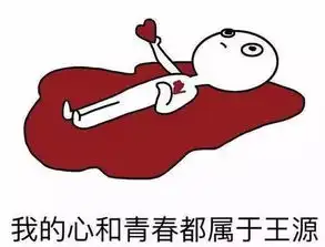 王源凭什么可以去朗读者

