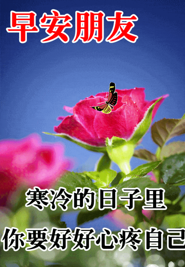 12月5日最漂亮动态表情图片大全
