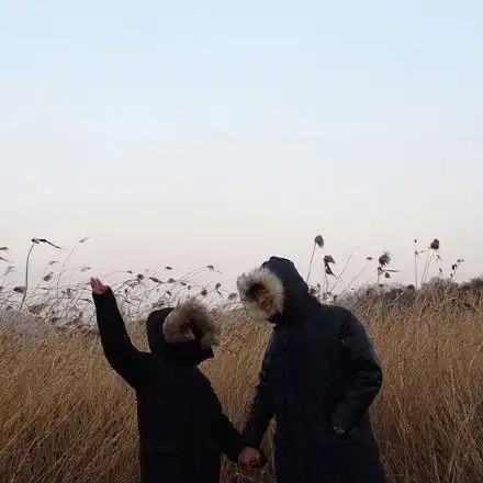 关于感情
