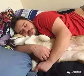本来以为养的是狗,后来发现这...明明就是一个小三啊
