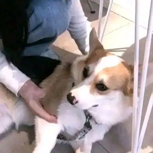 情侣头像有哪些事是女生很想让男朋友知道的
