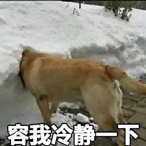 给宠物绝育很残忍绝育好处多多,坏处只有1个
