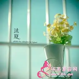 射手座男生的爱情持久度排行
