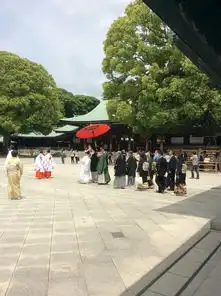 恰逢春光烂漫时初游霓虹一个不会日语的女汉子的东京京都奈良大阪自由行含详细交通购物攻略
