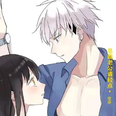 总裁老公请轻点
