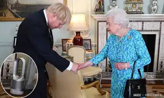 英国女王会见英国新任首相鲍里斯,眼尖网友却从照片发现了小秘密
