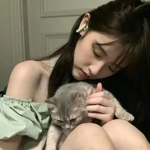 快来换新的头像啦
