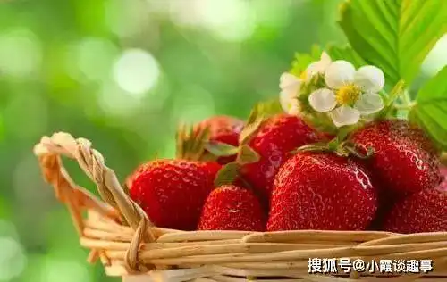 早安很现实说说句子,精辟犀利,适合发朋友圈
