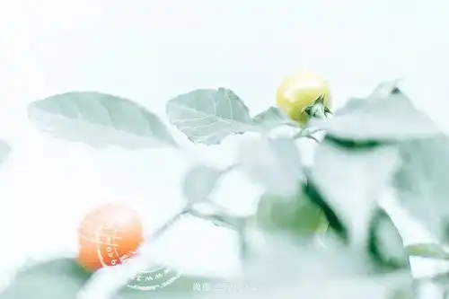 朋友圈早安心语正能量句子

