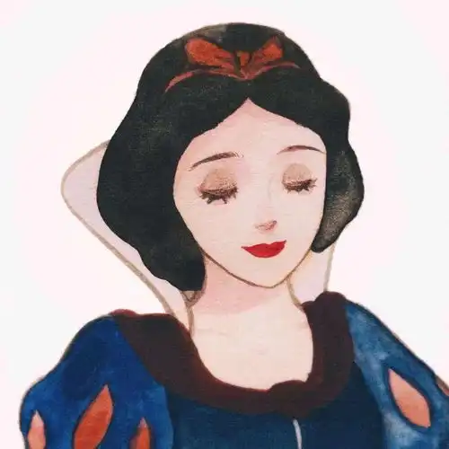 我的收藏
