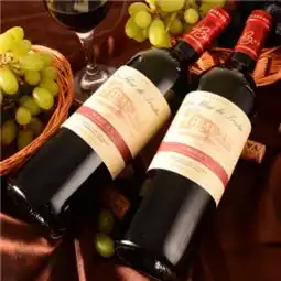 酒哈哈葡萄酒加盟图片加盟店装修图
