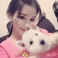 求qq头像一个系列的一个粉衣服女的抱一条小狗
