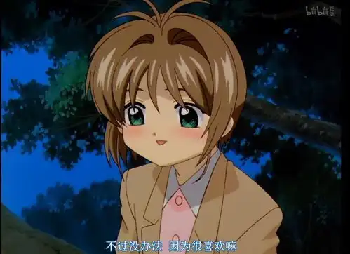 bg向魔卡少女樱中的cp腐向有哪几对呀
