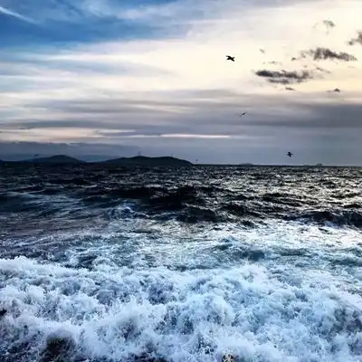 2023最新海边风景头像
