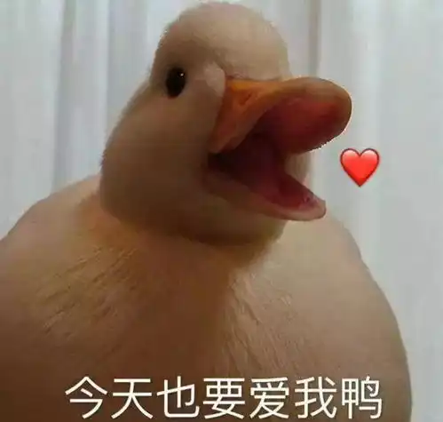 难道就这样结束了
