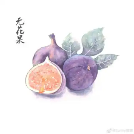 好看插画头像,个性唯美手绘水果插画头像图片
