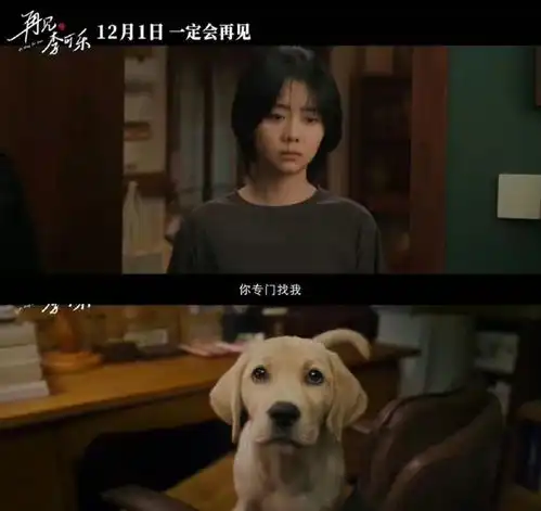 电影再见,李可乐定档,谭松韵演闫妮吴京女儿,少女感十足
