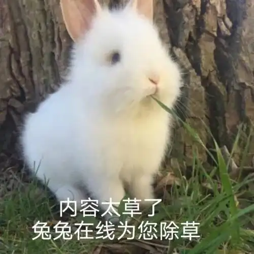一组奇怪又可爱的毛茸茸表情包

