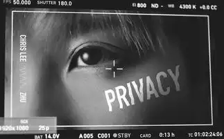 李宇春privacymv运用蒸汽波艺术新专辑首唱会于12月1日举行

