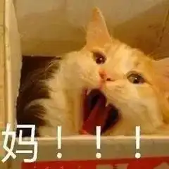 把娃送错幼儿园,这么不靠谱的事儿你做过吗
