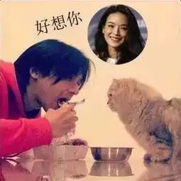 舒淇冯德伦牵手亲吻搂抱喂食,这高能狗粮撒的欢
