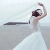 龙虎手机app
