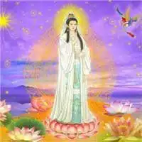 观音大士微信头像微信头像图片大全
