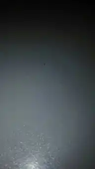 求变态的卡通情侣头像,越多越好
