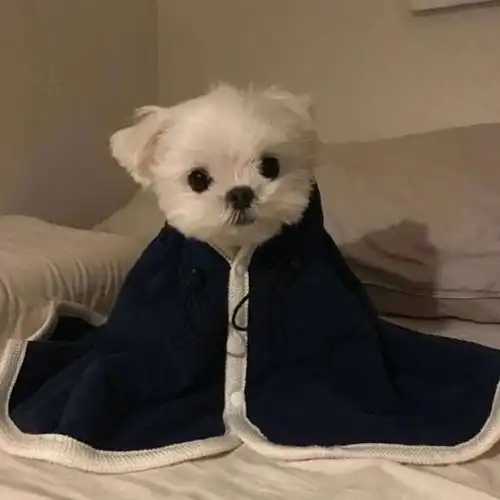 辣妹才会刷到的大病句子
