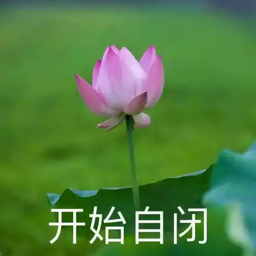 有人笑疯,有人泪崩......家长会上,我们能看到这届孩子最炸裂的求生欲
