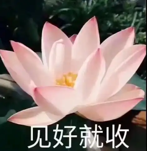 电影投资这么高回报,普通大众也可以投吗
