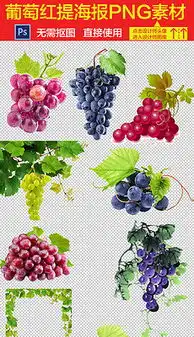 卡通水果篮图片素材卡通水果篮图片素材下载卡通水果篮背景素材卡通水果篮模板下载我图网
