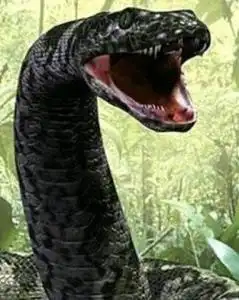 泰坦蟒
