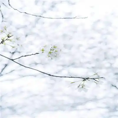 jbo彩票手机版
