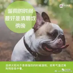 狗狗也疯狂南阳仅一个区,每天就有40人打狂犬疫苗,
