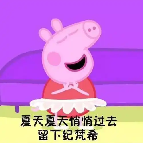 啥是佩奇一个不差钱的中产女孩
