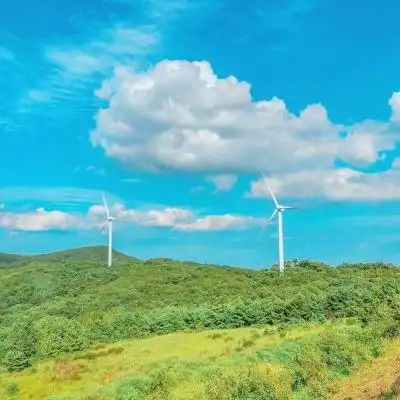 乐鱼滚球app首页
