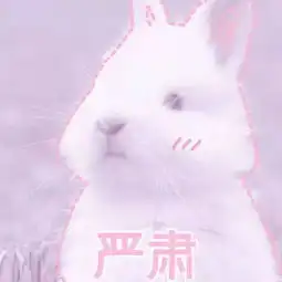 枫春南路轿车起火幸无人伤
