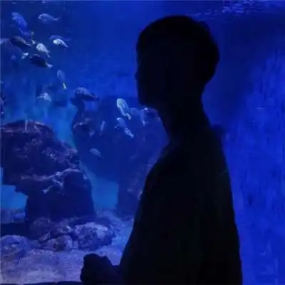 唯美单人情侣头像有哪些抖音唯美情侣头像一览

