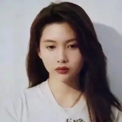 经典的复古港风头像
