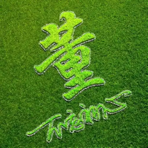 关于姓氏的浪漫告白文案
