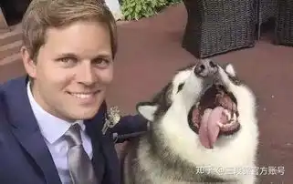 如何让宠物参与到自己的结婚过程中来
