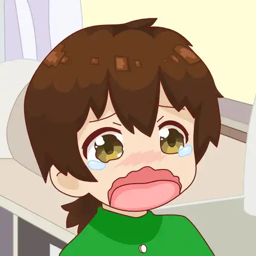 cctv旺财动漫抄袭事件
