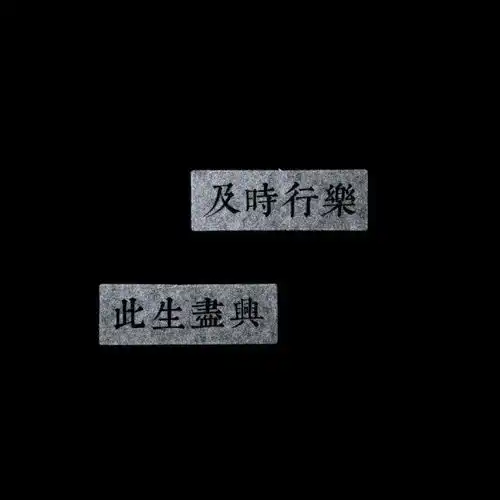 人气爆表的精美头像

